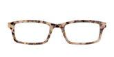 The Almond Tortoise with Gold Streaks