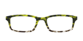 The Avocado to Ivory Tortoise