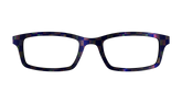 The Black Holographic Check