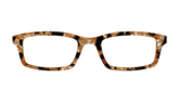 The Caramel Pearl Tortoise