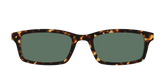 The Non-Polarized Green Tortoise Sun Top