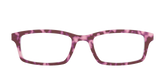 The Maroon Tortoise