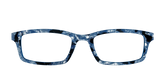 The Midnight Blue Pearl Tortoise