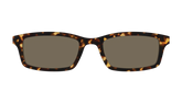 The Non-Polarized Tortoise Sun Top