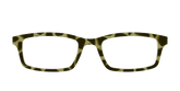 The Olive Tortoise