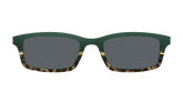 The Polarized Spruce Tortoise Sun Top