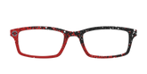 The Raptors Splatter