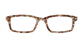 The Sandstone Tortoise