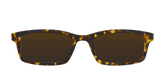 The Polarized Tortoise Sun Top
