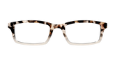 The Vanilla Latte Tortoise