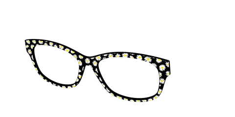 The Black Daisy