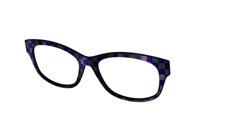 The Black Holographic Check