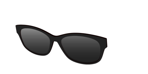 The Polarized Black Sun Top