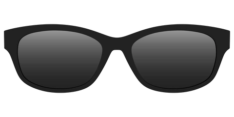 The Polarized Black Sun Top