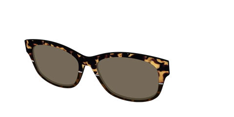 The Polarized Chic Tortoise Split Sun Top