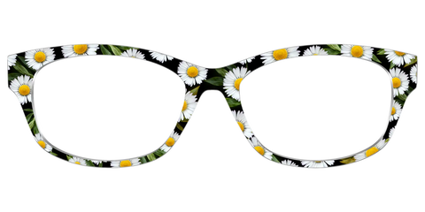 The Delicate Daisies