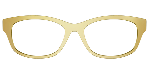 The Gold Mirror