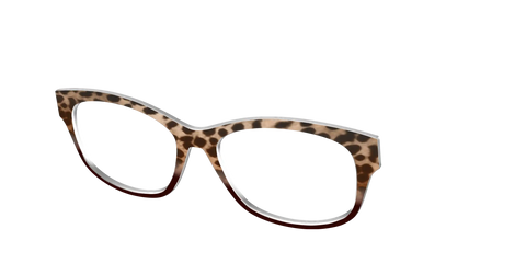 The Jungle Cat Tortoise