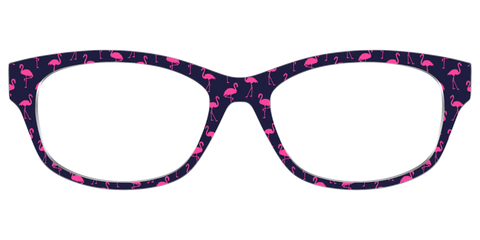 The Navy Flamingos