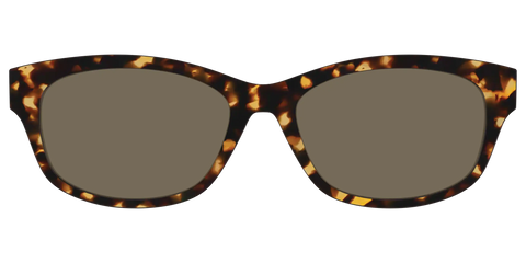 The Non-Polarized Tortoise Sun Top