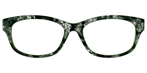 The Olive Pearl Tortoise