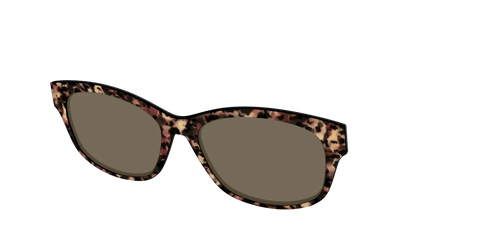 The Polarized Sienna Tortoise Sun Top
