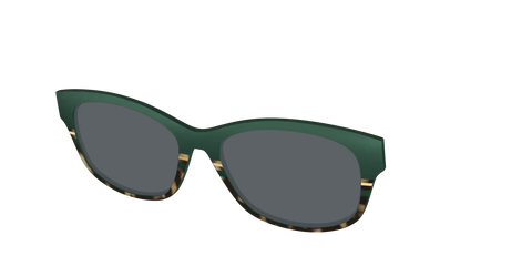 The Polarized Spruce Tortoise Sun Top