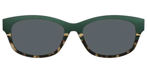 The Polarized Spruce Tortoise Sun Top