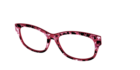 The Raspberry Pearl Tortoise