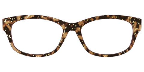 The Sandalwood Tortoise with Gold Foil