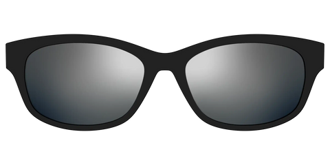 The Polarized Silver Reflective Sun Top