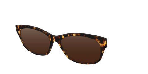 The Polarized Tortoise Sun Top