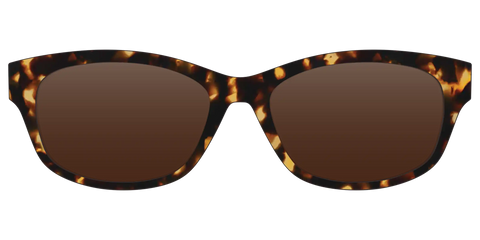 The Polarized Tortoise Sun Top
