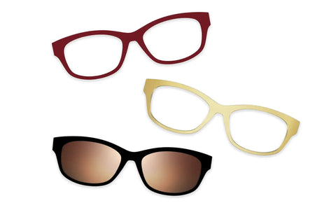 Tortoise - Set