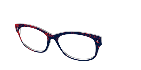 The Twins Home Run