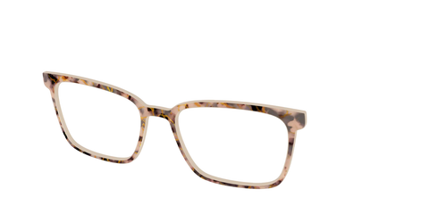 The Almond Tortoise with Gold Streaks