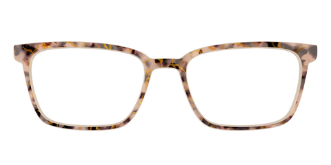 The Almond Tortoise with Gold Streaks