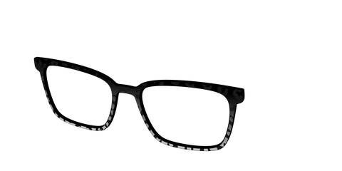 The Black Cheetah