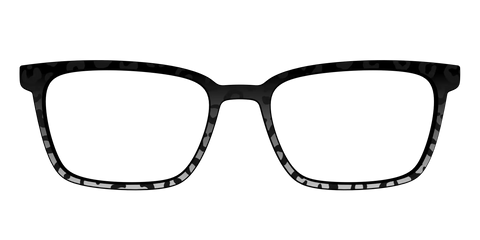 The Black Cheetah