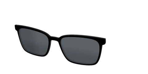The Polarized Black Sun Top
