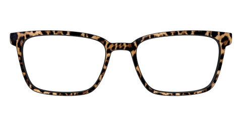 The Cheetah Spots
