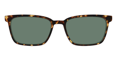 The Non-Polarized Green Tortoise Sun Top