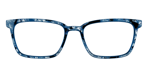 The Midnight Blue Pearl Tortoise
