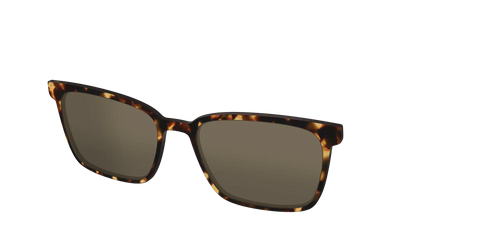 The Non-Polarized Tortoise Sun Top