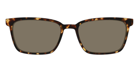 The Non-Polarized Tortoise Sun Top