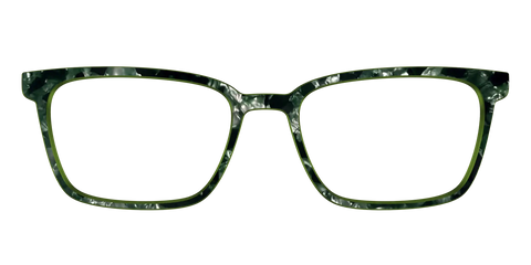 The Olive Pearl Tortoise