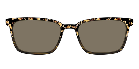 The Polarized Caramel Tortoise Horn Split Sun Top