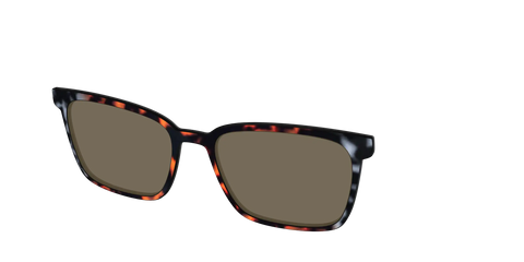 The Polarized Gray & Amber Tortoise Sun Top