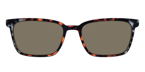 The Polarized Gray & Amber Tortoise Sun Top