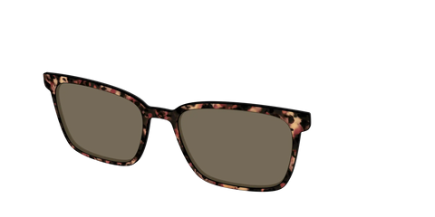 The Polarized Sienna Tortoise Sun Top